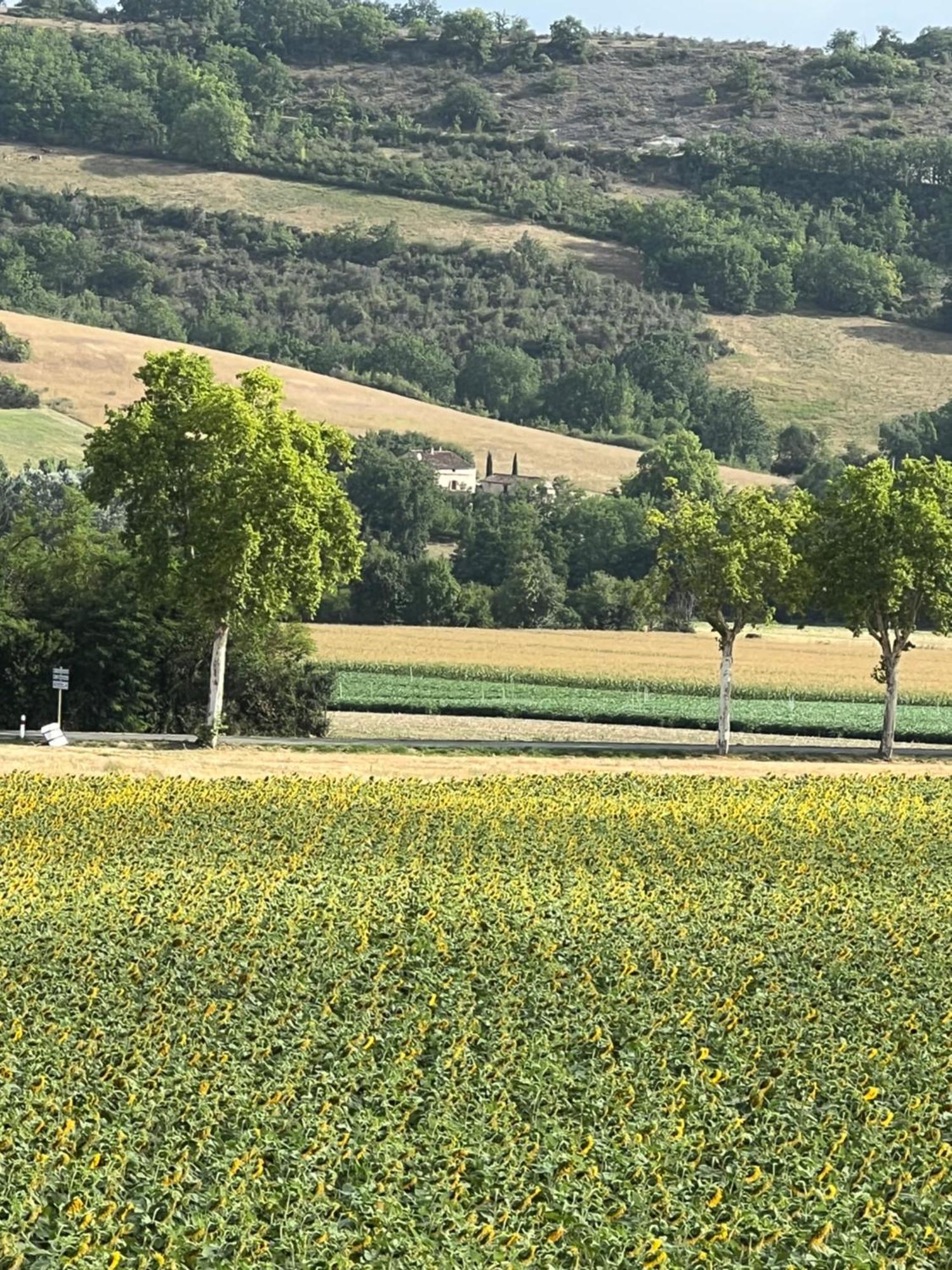 La Bastide De La Bogne Bed & Breakfast Vindrac-Alayrac Eksteriør bilde